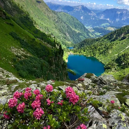 Boutique - Mit Bergblick Direkt An Der Loipe Apartament *