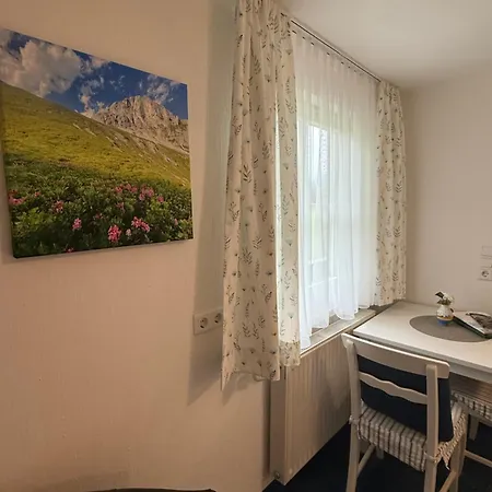 Boutique - Mit Bergblick Und Balkon - Inklusive Sommercard! アパート ラムサウ・アム・ダッハシュタイン