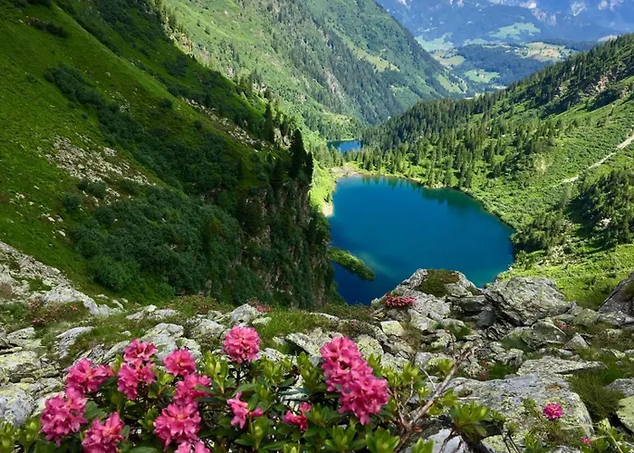 Boutique - Mit Bergblick Direkt An Der Loipe Appartamento *